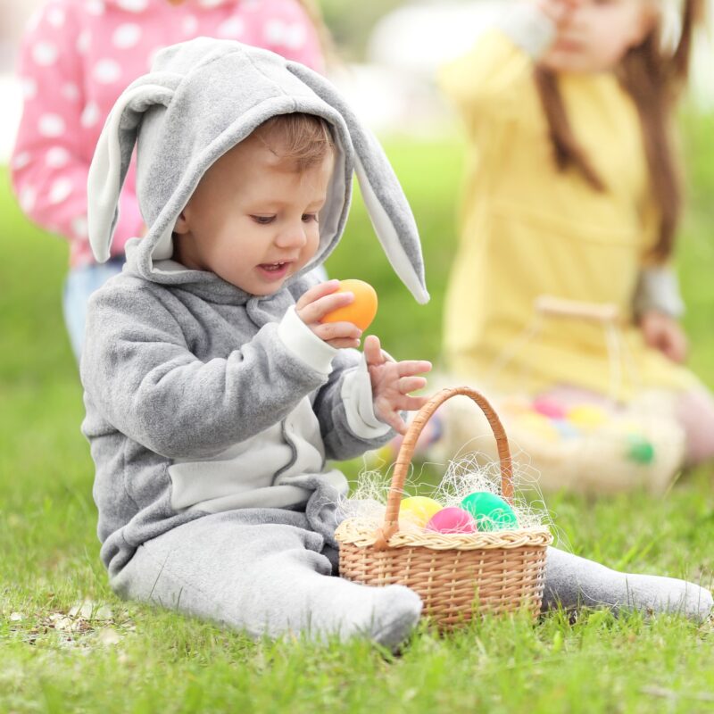 Cute little boy with basket on green grass in park. Easter egg hunt concept