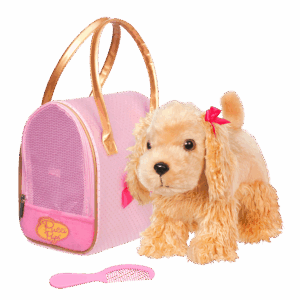 pucci pups cocker spaniel